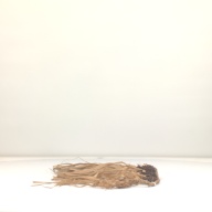 幅：55 (cm)×奥行：46 (cm)×高さ：1.2 (cm)／140 (g)，撮影・計測日：1998-02-12