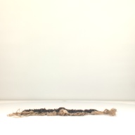 幅：56 (cm)×奥行：20 (cm)×高さ：1.7 (cm)／118 (g)，撮影・計測日：1998-02-12