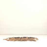 幅：56 (cm)×奥行：50 (cm)×高さ：2.5 (cm)／135 (g)，撮影・計測日：1998-02-12