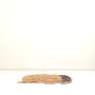 幅：56 (cm)×奥行：50 (cm)×高さ：2.5 (cm)／135 (g)，撮影・計測日：1998-02-12