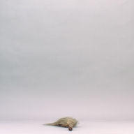 W:22 (cm)×D:66 (cm)×H:5.8 (cm)／137 (g)，Measurement date:2002-09-24