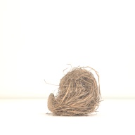 幅：10 (cm)×奥行：18 (cm)×高さ：9.8 (cm)／28 (g)，撮影・計測日：1996-07-03