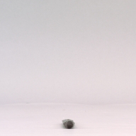 幅：2.1 (cm)×奥行：24 (cm)×高さ：1.5 (cm)／32 (g)，撮影・計測日：2002-09-26