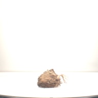 W:100 (cm)×D:29 (cm)×H:14 (cm)／695 (g)，Measurement date:1996-07-03