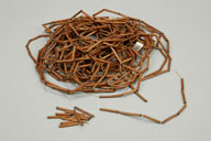 66 (g)，撮影・計測日：2007-08-08