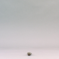 W:2.9 (cm)×D:35 (cm)×H:2.0 (cm)／55 (g)，Measurement date:2002-09-27