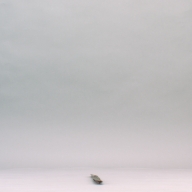 W:2.9 (cm)×D:56 (cm)×H:1.8 (cm)／79 (g)，Measurement date:2002-09-27