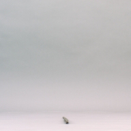 W:1.4 (cm)×D:54 (cm)×H:1.1 (cm)／42 (g)，Measurement date:2002-09-27