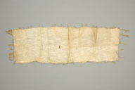 横：238 (cm)×縦：84 (cm)／79 (g)，撮影・計測日：2008-10-30