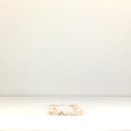 幅：3.9 (cm)×奥行：57 (cm)×高さ：2.3 (cm)／163 (g)，撮影・計測日：1996-07-03