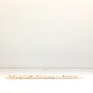 幅：3.9 (cm)×奥行：57 (cm)×高さ：2.3 (cm)／163 (g)，撮影・計測日：1996-07-03