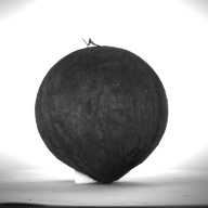 W:16 (cm)×D:17 (cm)×H:17 (cm)／433 (g)，Measurement date:1993-12-13