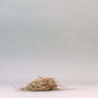 幅：18 (cm)×奥行：48 (cm)×高さ：7.3 (cm)／45 (g)，撮影・計測日：2002-10-01