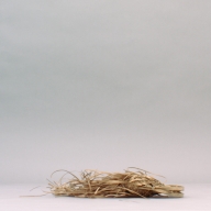 幅：18 (cm)×奥行：48 (cm)×高さ：7.3 (cm)／45 (g)，撮影・計測日：2002-10-01