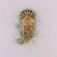 幅：18 (cm)×奥行：48 (cm)×高さ：7.3 (cm)／45 (g)，撮影・計測日：2002-10-01