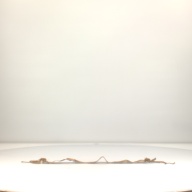 W:69 (cm)×D:5.5 (cm)×H:3.5 (cm)／17 (g)，Measurement date:1996-07-02