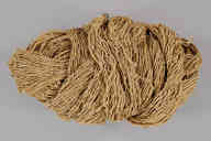 168 (g)，撮影・計測日：2010-06-09