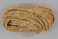 110 (g)，撮影・計測日：2010-06-09