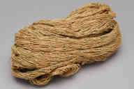 110 (g)，撮影・計測日：2010-06-09