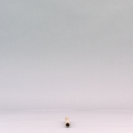 W:1.1 (cm)×D:32 (cm)×H:1.0 (cm)／2 (g)，Measurement date:2002-09-30