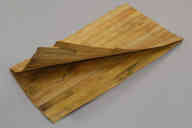 横：48 (cm)×縦：91 (cm)／257 (g)，撮影・計測日：2010-06-04