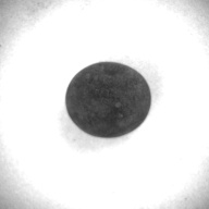 W:2.6 (cm)×D:2.4 (cm)×H:2.1 (cm)／20 (g)，Measurement date:1993-12-15