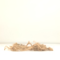 幅：27 (cm)×奥行：35 (cm)×高さ：2.2 (cm)／5 (g)，撮影・計測日：1998-02-12