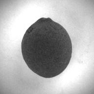 W:5.0 (cm)×D:6.3 (cm)×H:5.0 (cm)／73 (g)，Measurement date:1993-12-15