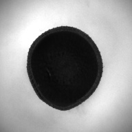 W:15 (cm)×D:14 (cm)×H:7.0 (cm)／66 (g)，Measurement date:1993-12-15