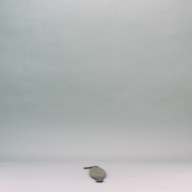 W:7.4 (cm)×D:75 (cm)×H:1.3 (cm)／261 (g)，Measurement date:2002-10-25