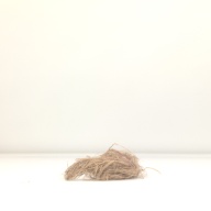 幅：4.8 (cm)×奥行：29 (cm)×高さ：4.6 (cm)／3 (g)，撮影・計測日：1996-07-01