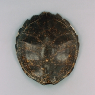 W:58 (cm)×D:64 (cm)×H:17 (cm)／3.27 (kg)，Measurement date:2002-10-25