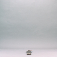 W:9.5 (cm)×D:69 (cm)×H:1.8 (cm)／342 (g)，Measurement date:2002-10-28