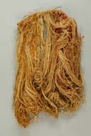 横：18 (cm)×縦：37 (cm)／39 (g)，撮影・計測日：2008-01-29