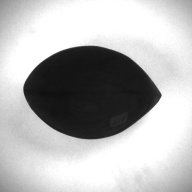 W:12 (cm)×D:7.7 (cm)×H:4.3 (cm)／38 (g)，Measurement date:1993-12-17