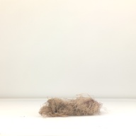 W:22 (cm)×D:39 (cm)×H:8.0 (cm)／35 (g)，Measurement date:1996-07-02