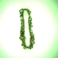 W:0.7 (cm)×D:20 (cm)×H:0.7 (cm)／26 (g)，Measurement date:1996-08-15