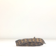 W:10 (cm)×D:12 (cm)×H:2.9 (cm)／14 (g)，Measurement date:1996-07-01