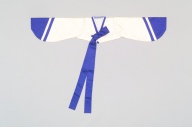 横：143 (cm)×縦：30 (cm)／235 (g)，撮影・計測日：2005-03-30