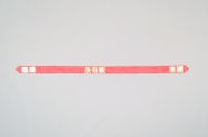 横：225 (cm)×縦：9.4 (cm)／29 (g)，撮影・計測日：2005-03-30