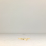 幅：0.8 (cm)×奥行：30 (cm)×高さ：1.4 (cm)／12 (g)，撮影・計測日：1996-07-01
