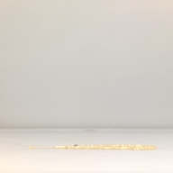 幅：0.8 (cm)×奥行：30 (cm)×高さ：1.4 (cm)／12 (g)，撮影・計測日：1996-07-01