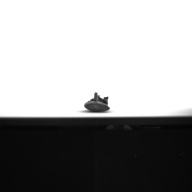 W:4.0 (cm)×D:28 (cm)×H:3.1 (cm)／35 (g)，Measurement date:1992-09-16