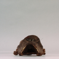 W:19 (cm)×D:28 (cm)×H:12 (cm)／851 (g)，Measurement date:2003-01-21