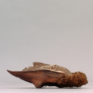 W:21 (cm)×D:34 (cm)×H:11 (cm)／857 (g)，Measurement date:2003-01-21