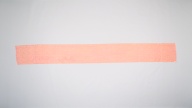 横：393 (cm)×縦：46 (cm)／110 (g)，撮影・計測日：2005-03-28
