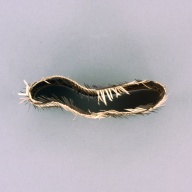 幅：24 (cm)×奥行：7.2 (cm)×高さ：13 (cm)／49 (g)，撮影・計測日：2003-08-14