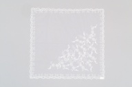 横：99 (cm)×縦：95 (cm)／29 (g)，撮影・計測日：2005-05-17