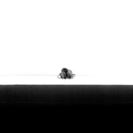 幅：3.1 (cm)×奥行：44 (cm)×高さ：4.4 (cm)／51 (g)，撮影・計測日：1992-11-12