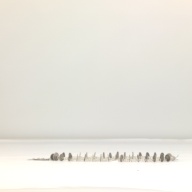 幅：2.1 (cm)×奥行：31 (cm)×高さ：1.7 (cm)／73 (g)，撮影・計測日：1996-10-02